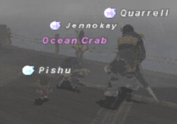 Ocean Crab (Fished) Picture